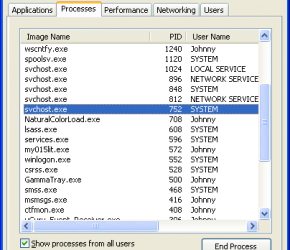 Chamando processos do Windows em C#
