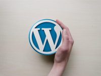 Curso Intensivo de WordPress 2019