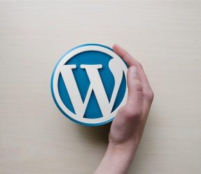 Curso Intensivo de WordPress 2019