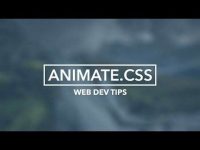 Como criar um efeito hover com animate.css