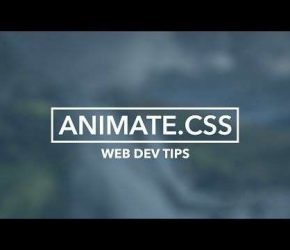 Como criar um efeito hover com animate.css