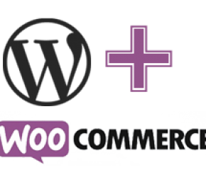 Curso Intensivo de WordPress com WooCommerce para criação de lojas virtuais