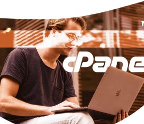 Como resolver “Failed to receive status information from Apache.” – CPanel