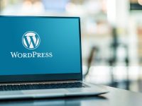Quem desenvolve com WordPress pode ser chamado de programador?