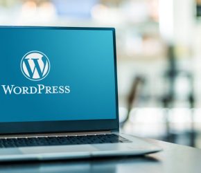 Quem desenvolve com WordPress pode ser chamado de programador?